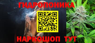 твердый Можга