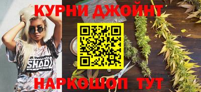 гидра Можайск