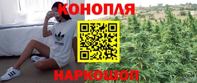 гидра Можайск