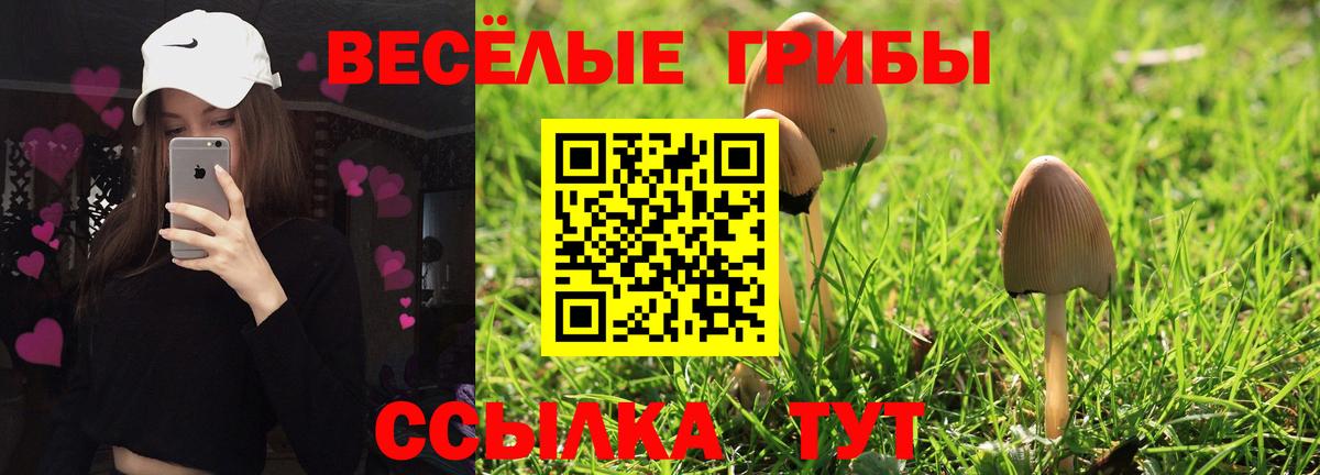 Галлюциногенные грибы прущие грибы  Вход с VPN  Хабаровск 