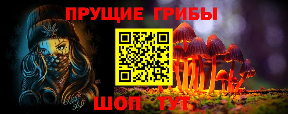 Псилоцибиновые грибы GOLDEN TEACHER Хабаровск